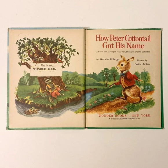 Vintage Lot of 5 Wonder Books Popeye Black Beauty  Peter Cottontail Dinosaur - Picture 14 of 16